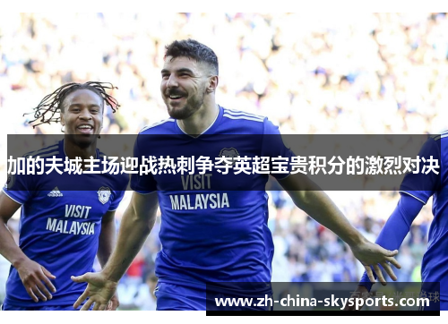 加的夫城主场迎战热刺争夺英超宝贵积分的激烈对决