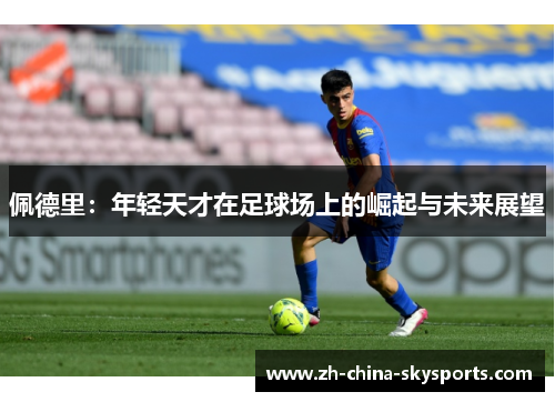 佩德里：年轻天才在足球场上的崛起与未来展望